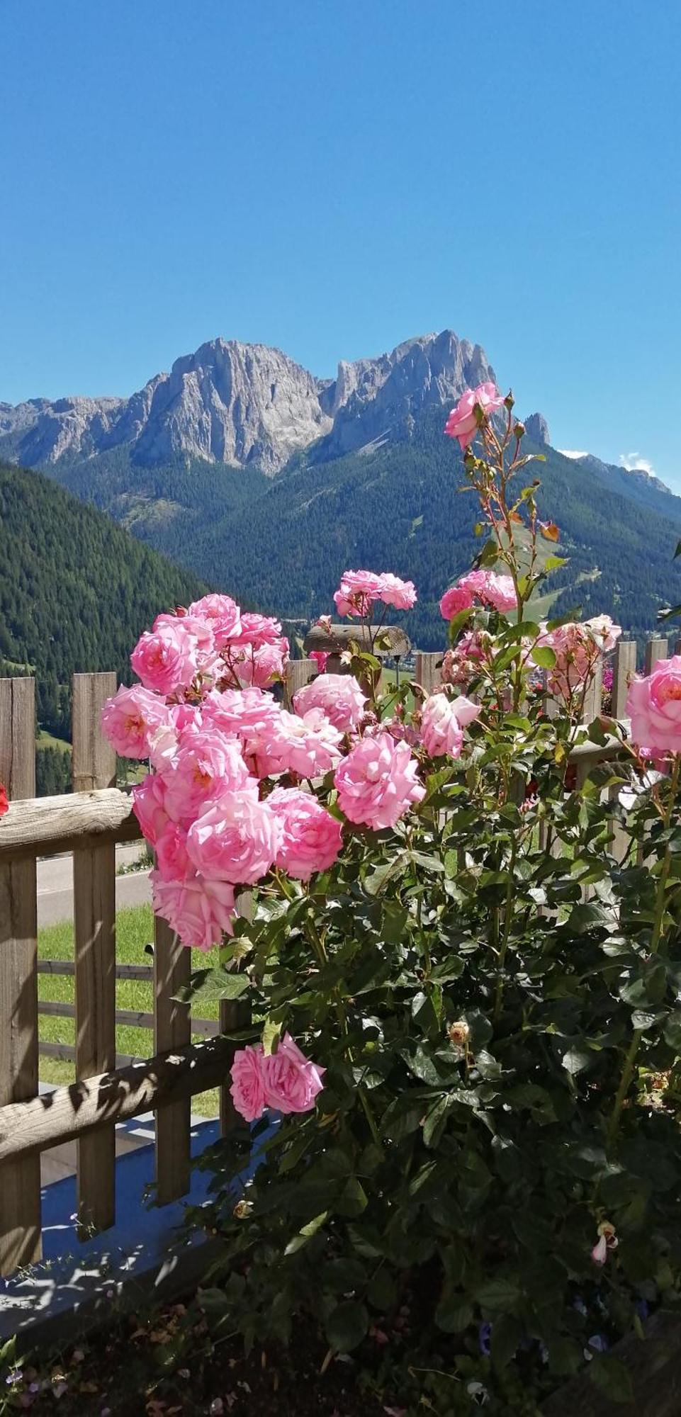 Villetta Muncion Pozza di Fassa Zewnętrze zdjęcie
